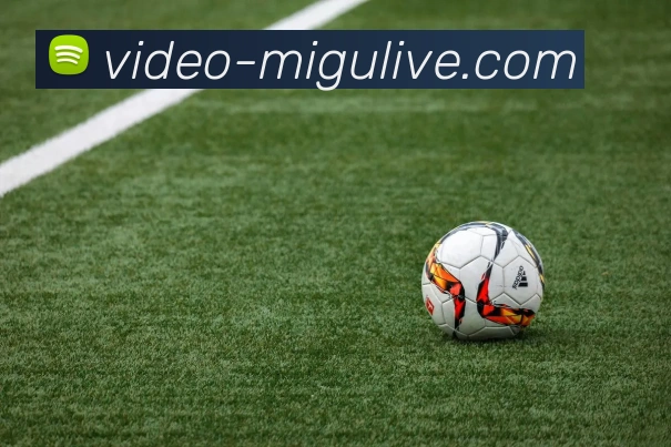 五大联赛的幕后英雄走进球场志愿者聆听他们与足球的温情故事